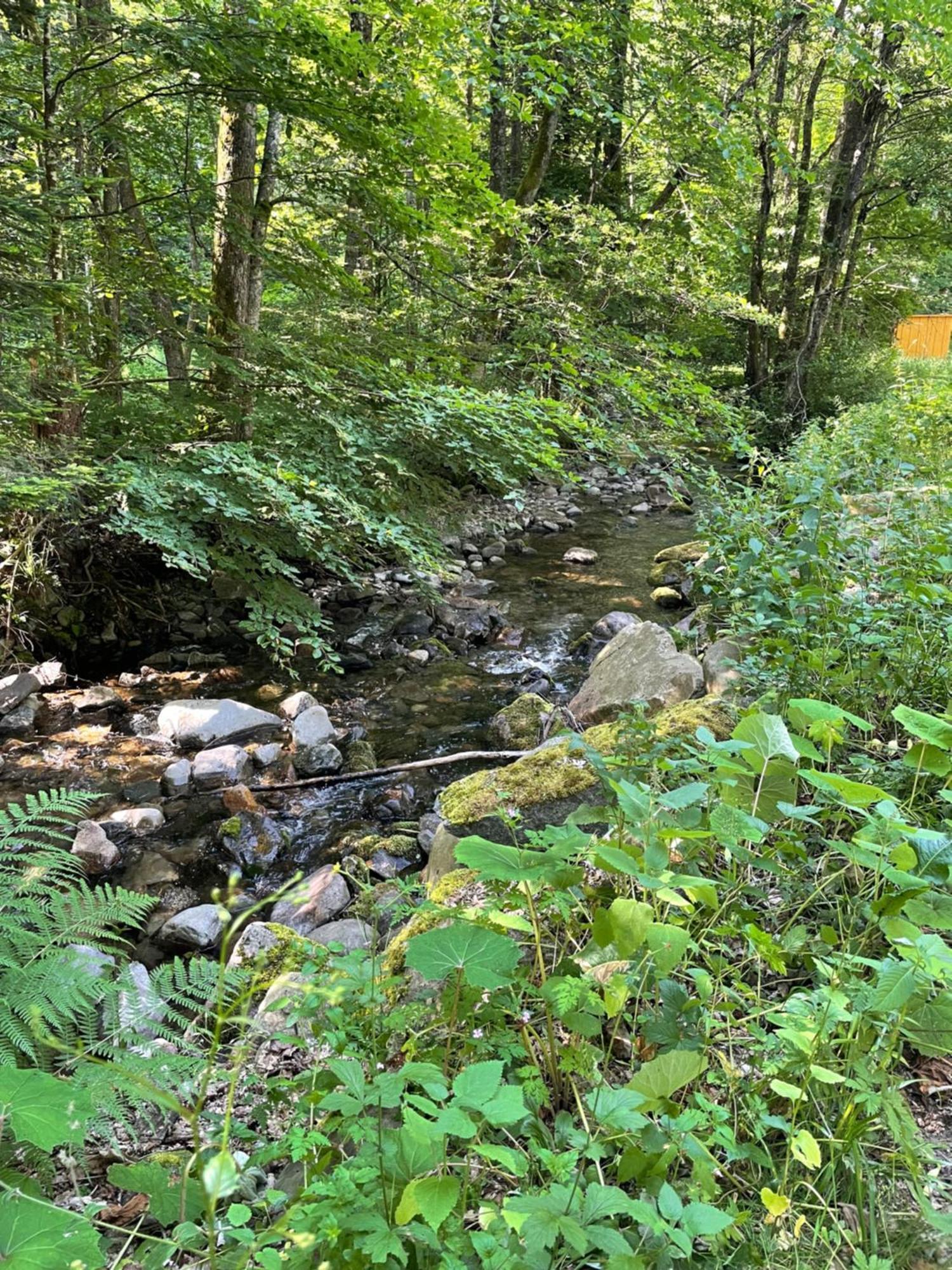 Vila L Annexe Mittlach Exteriér fotografie